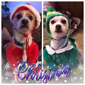 Meet your Posher, Sheree